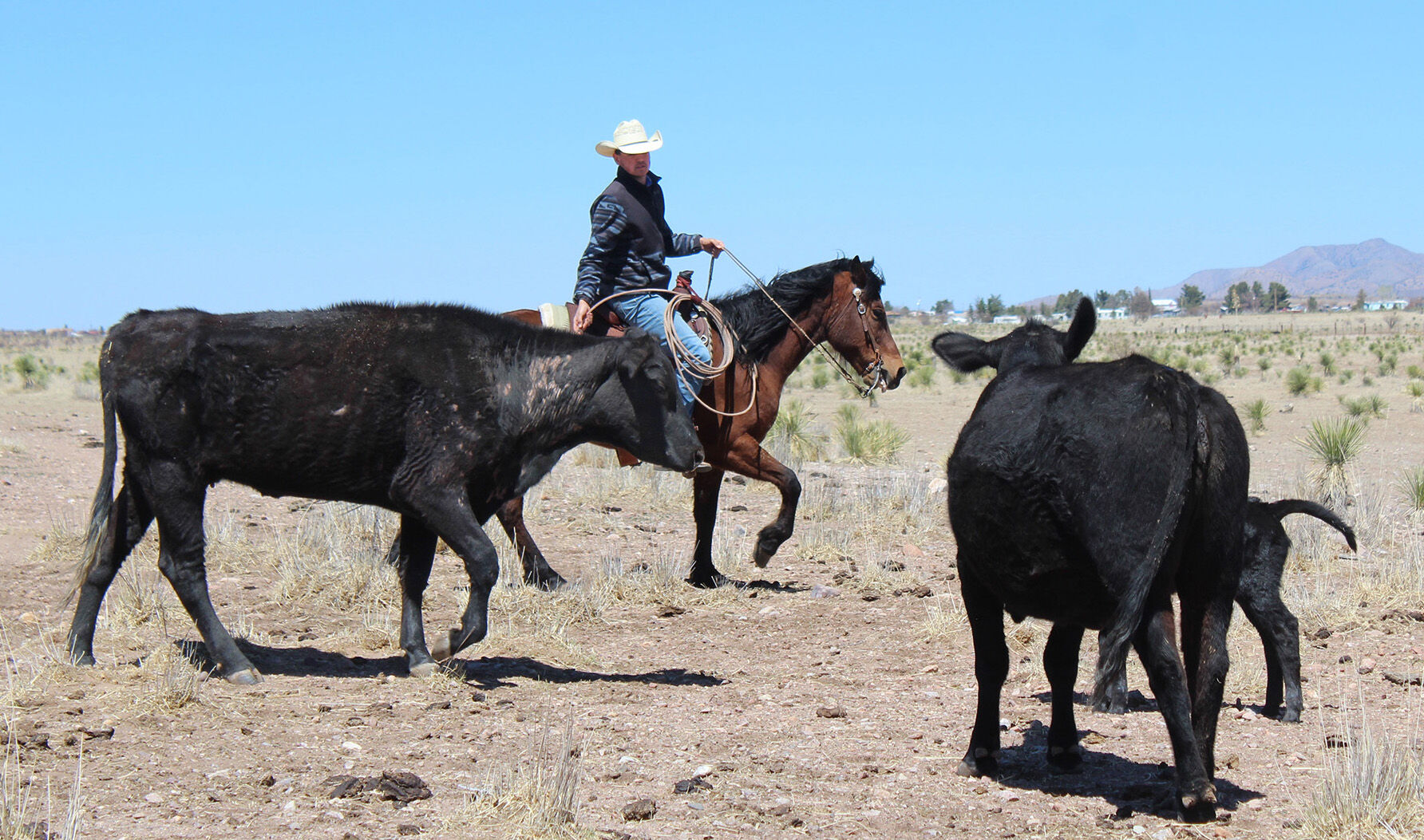 Ralph Quiroz ranch